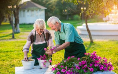 Jardinería terapéutica para personas mayores